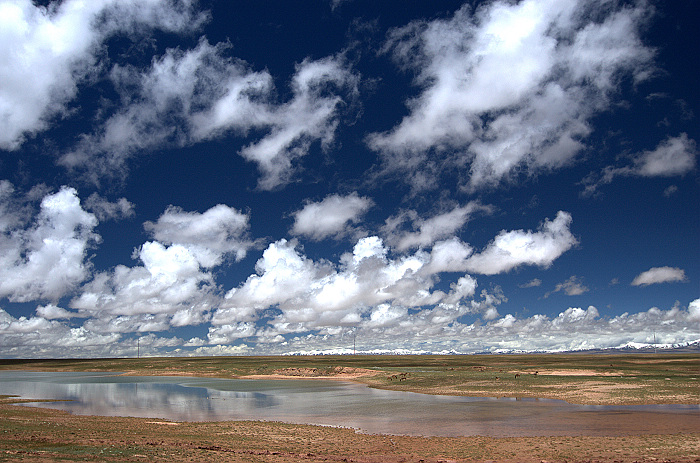 DSC_1870.jpg