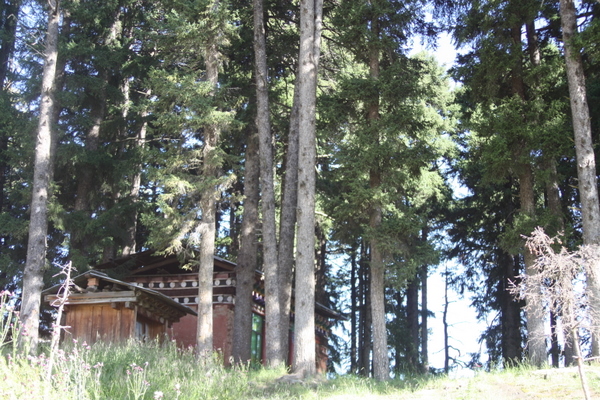 IMG_5776.jpg