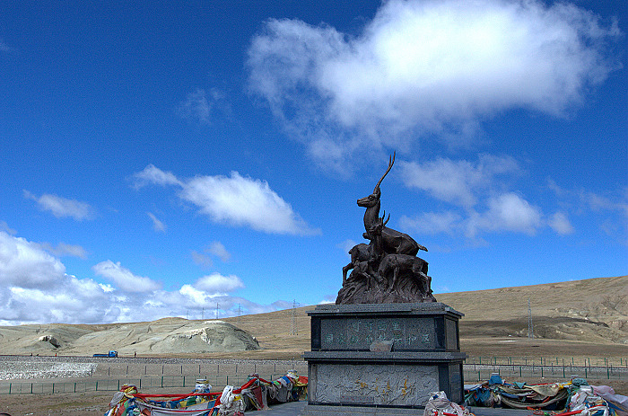 DSC_1849.jpg