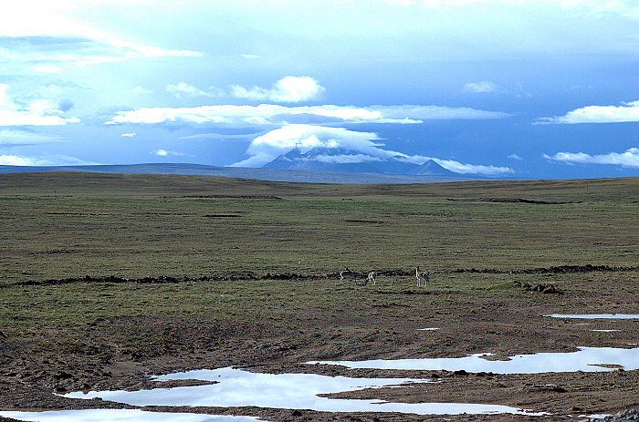 DSC_1883.jpg