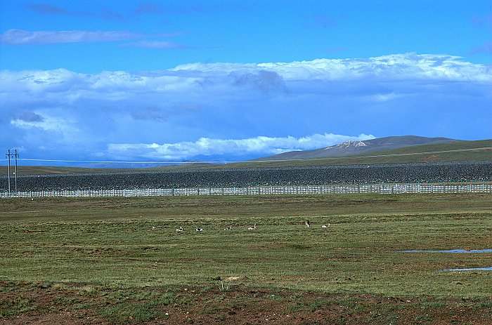 DSC_1897.jpg