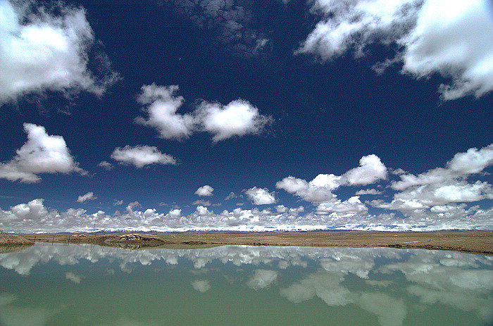 DSC_1863.jpg