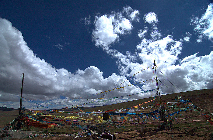 DSC_1876.jpg