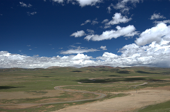 DSC_1913.jpg