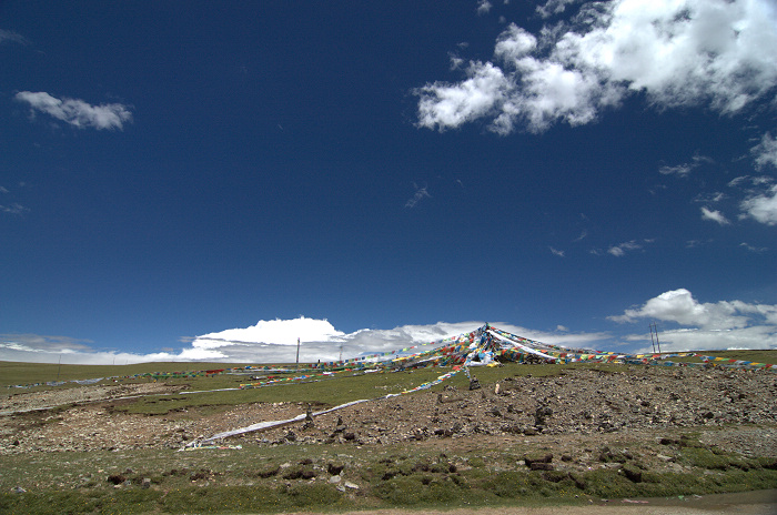 DSC_1946.jpg