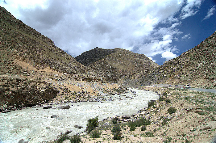 DSC_2009.jpg