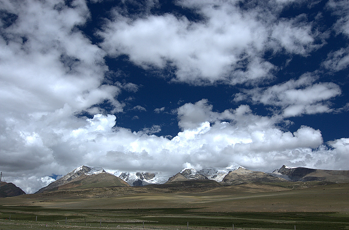 DSC_2008.jpg