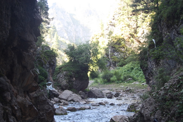 IMG_5806.jpg