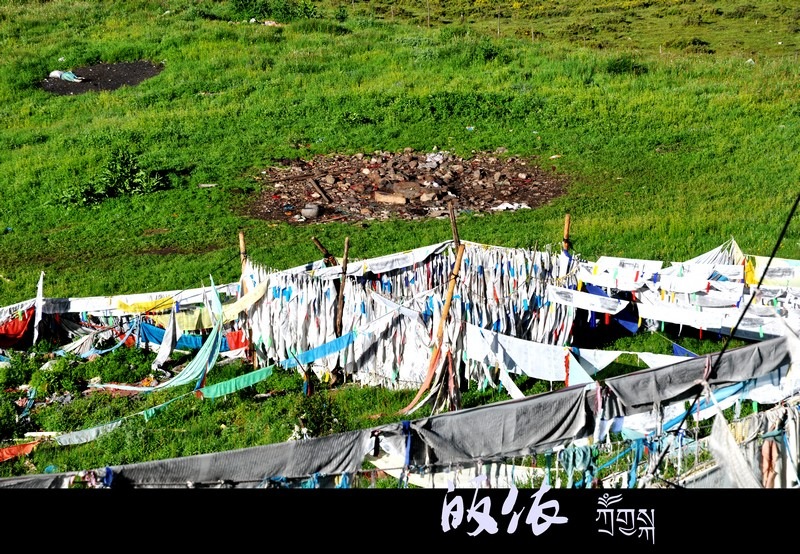 030.jpg