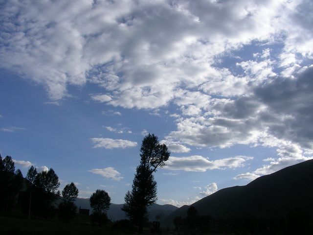 DSCN0279.JPG