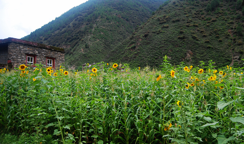 n60 324.jpg