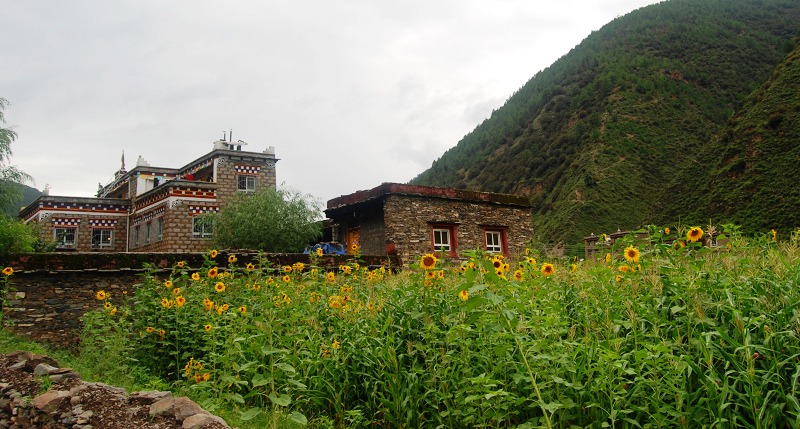 n60 325.jpg