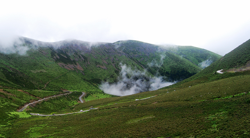 n60 332.jpg