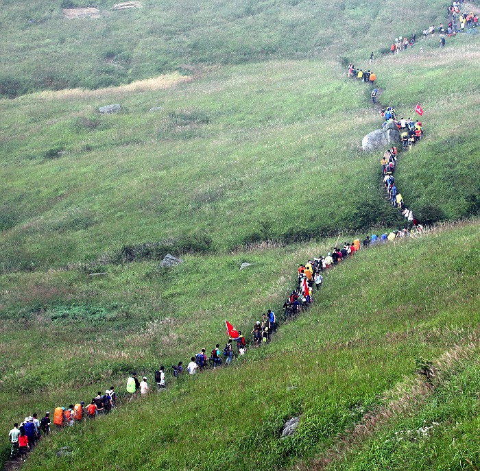 91.jpg