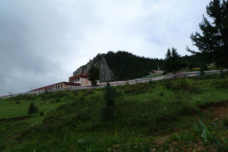 ������С P1010983.JPG