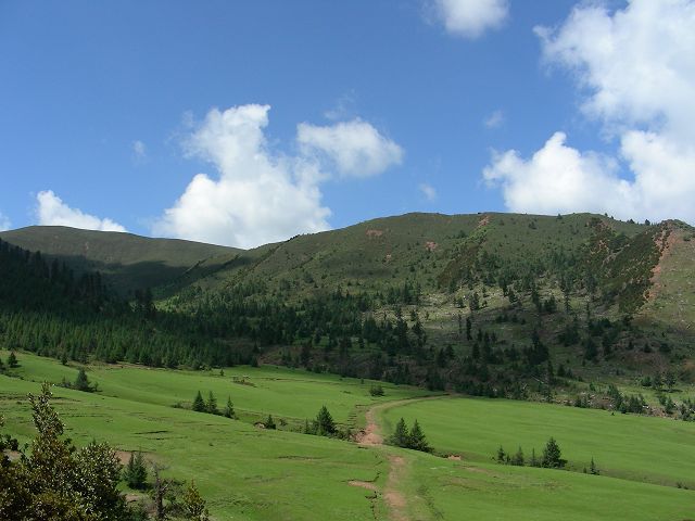 DSCN0661.JPG