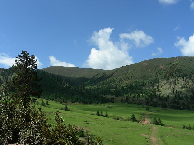 DSCN0663.JPG