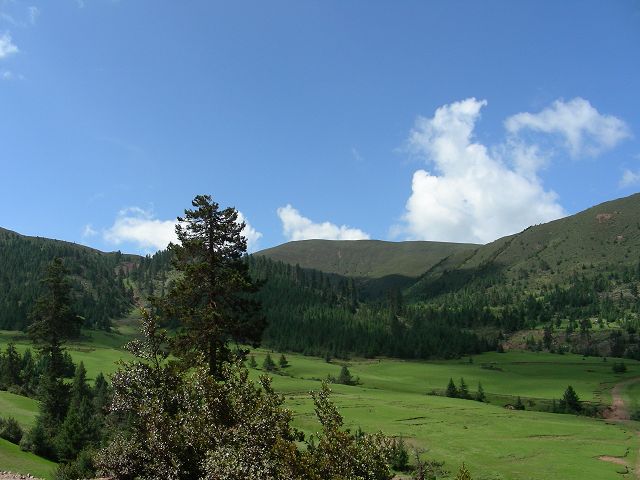 DSCN0664.JPG