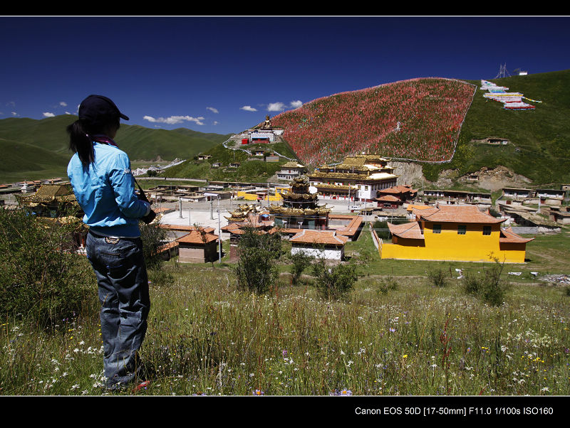 _MG_9790.jpg