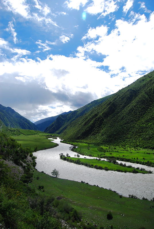 n60 1138.jpg