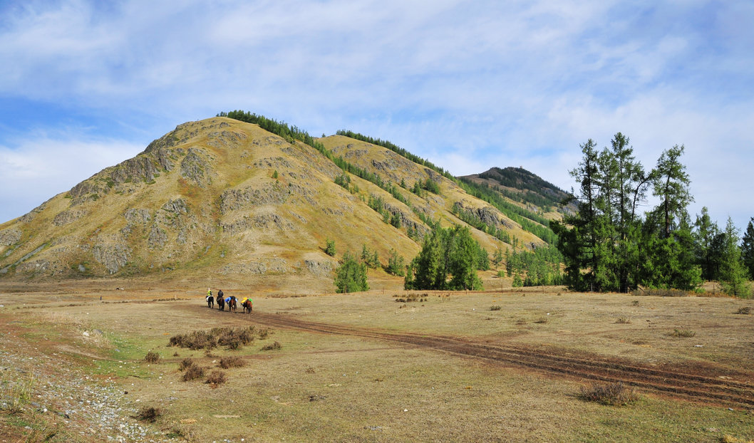 _DSC4268.jpg