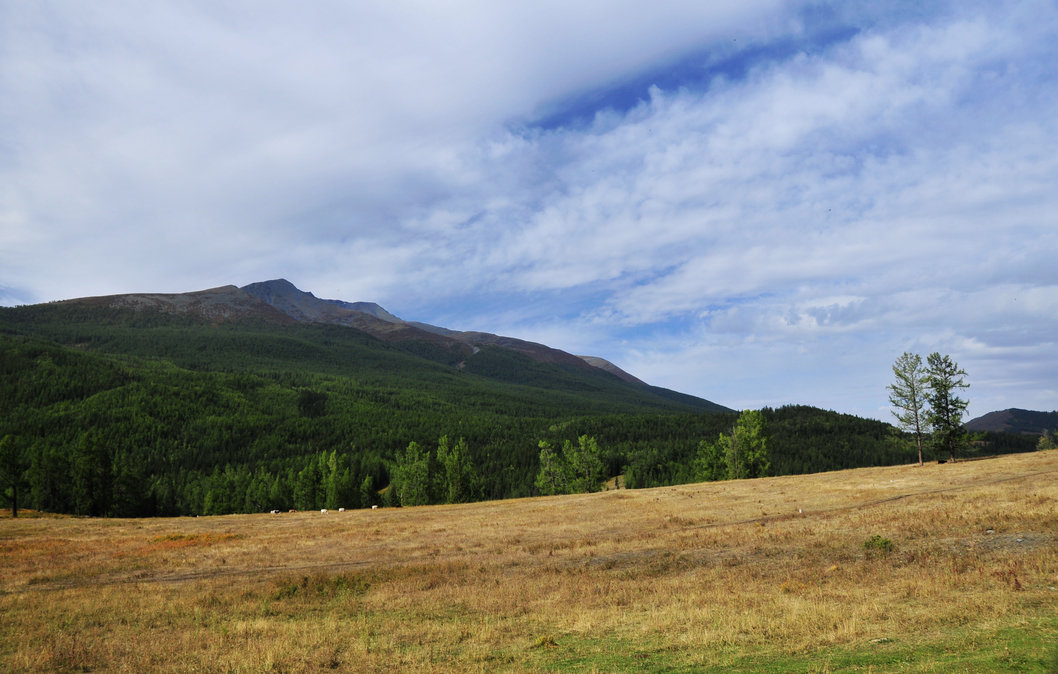 _DSC4297.jpg