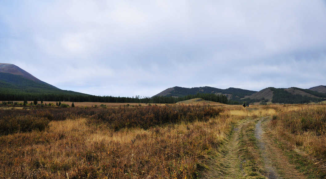 _DSC4317.jpg
