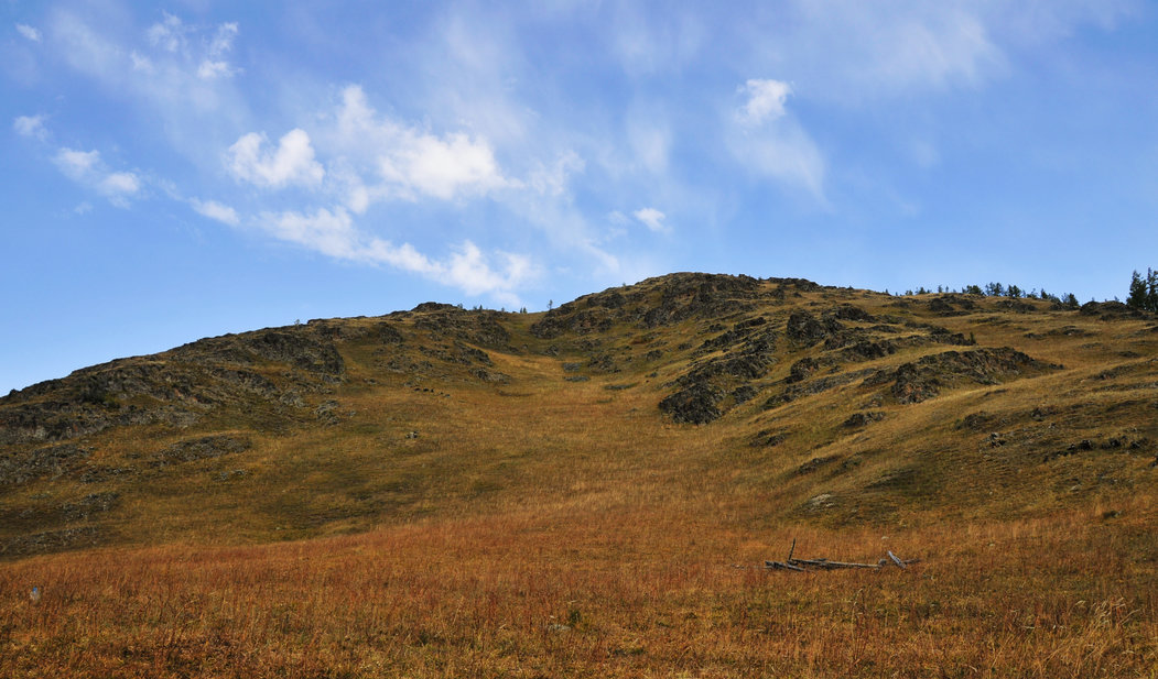 _DSC4353.jpg