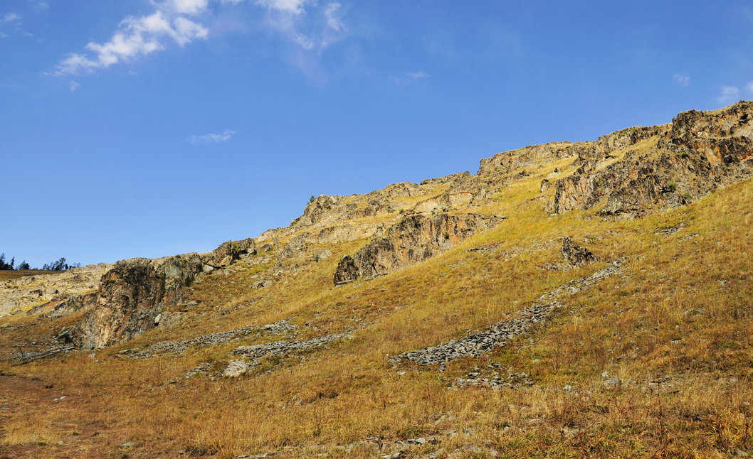 _DSC4360.jpg