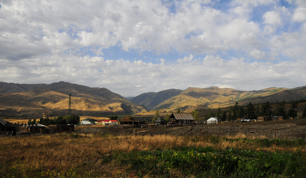 _DSC4470.jpg