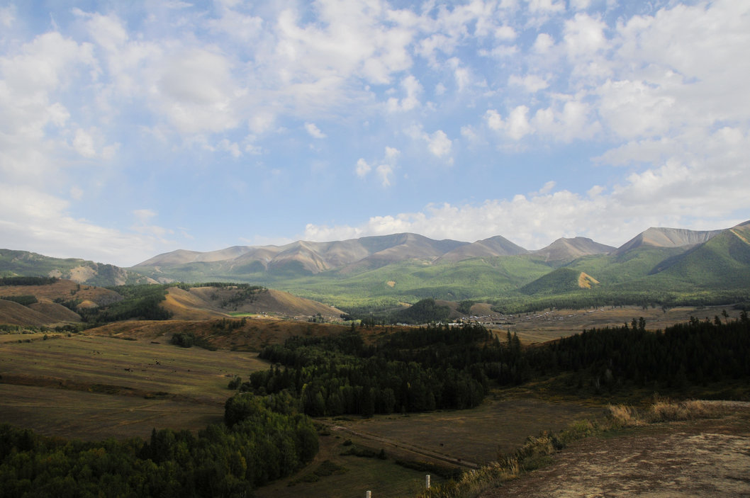 _DSC4500.jpg