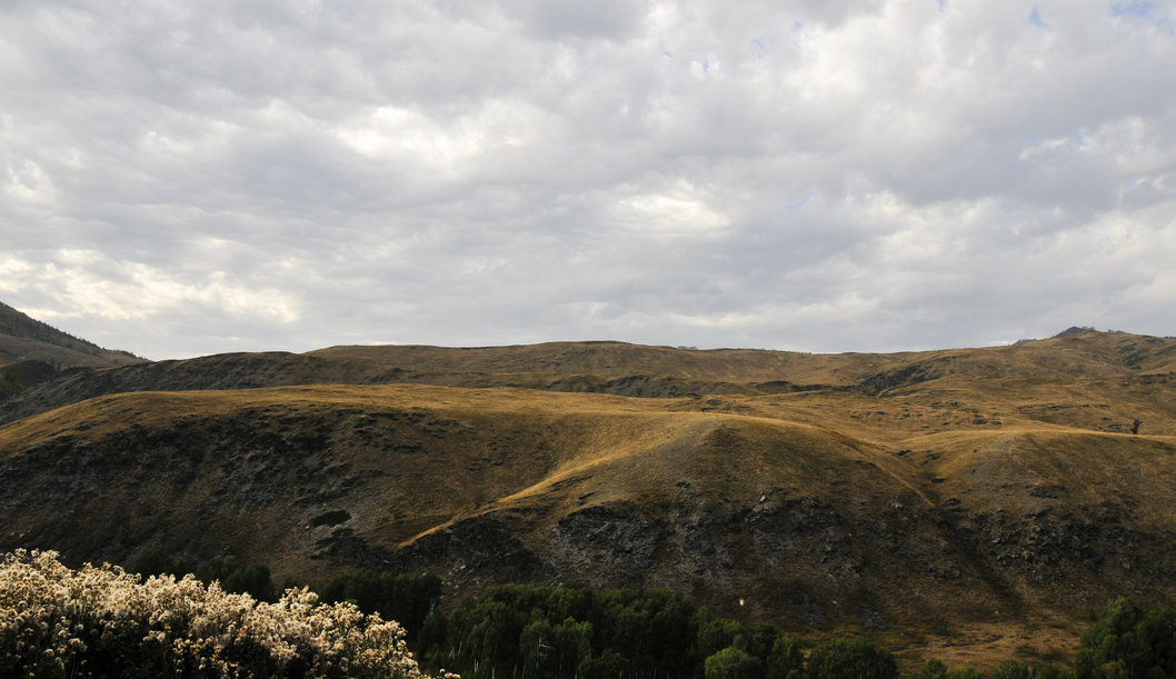 _DSC4502.jpg