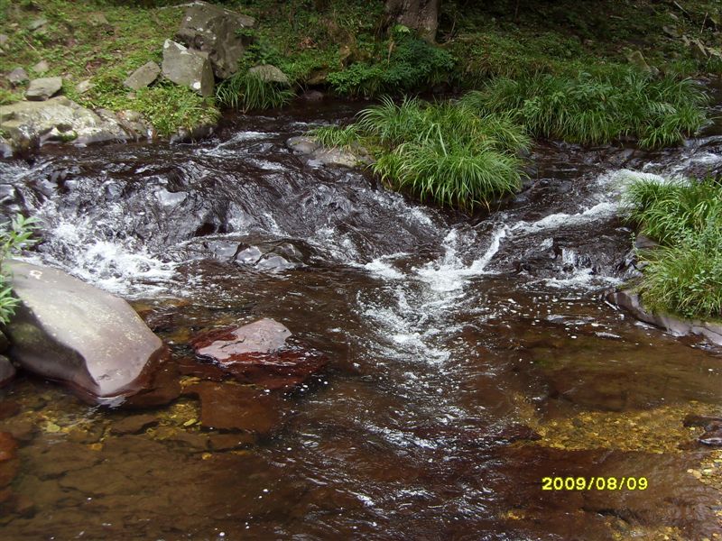 SDC11801.JPG