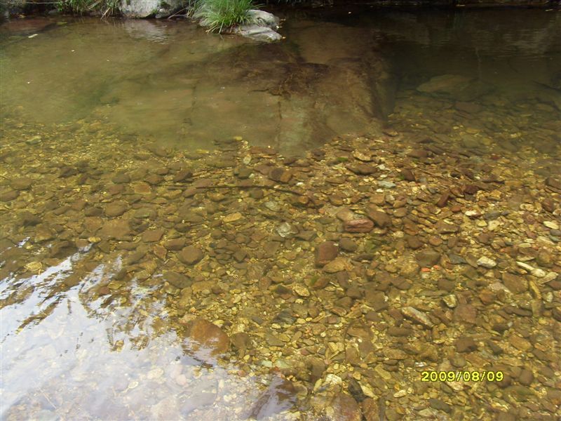 SDC11802.JPG