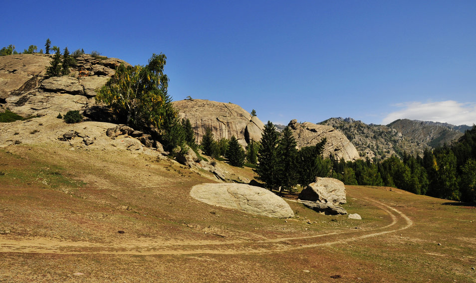 _DSC5013.jpg
