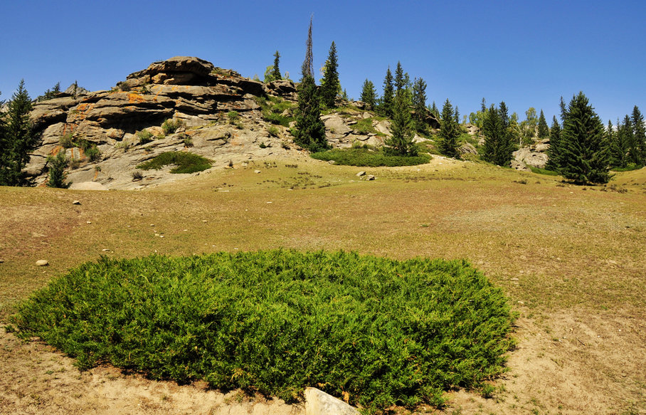 _DSC5022.jpg