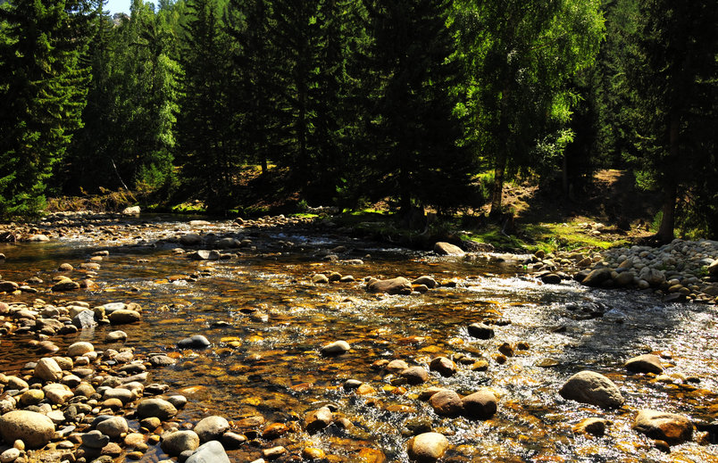 _DSC5036.jpg