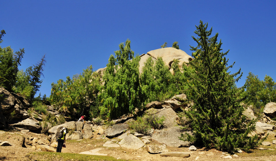 _DSC5048.jpg