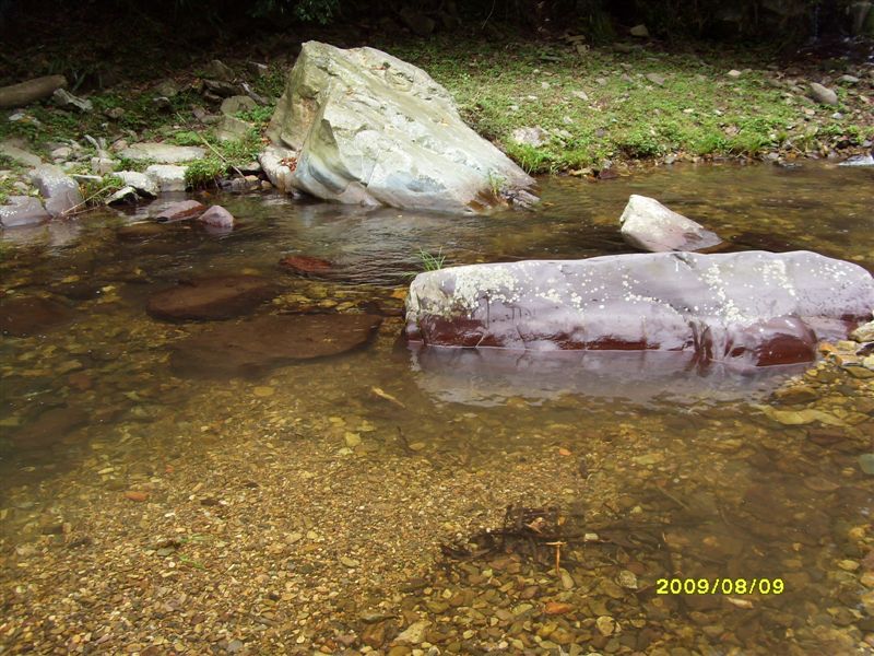 SDC11805.JPG