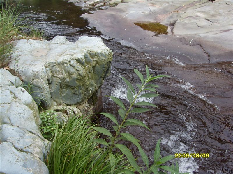 SDC11807.JPG