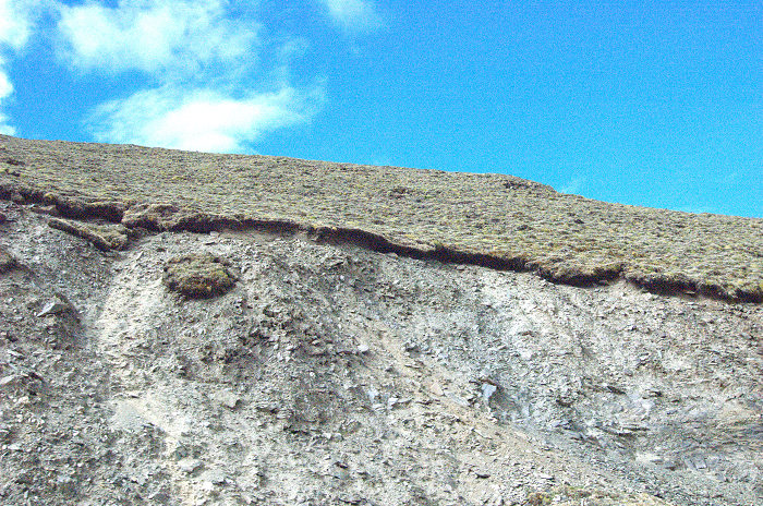 DSC_2449.jpg