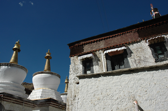 DSC_9296.JPG