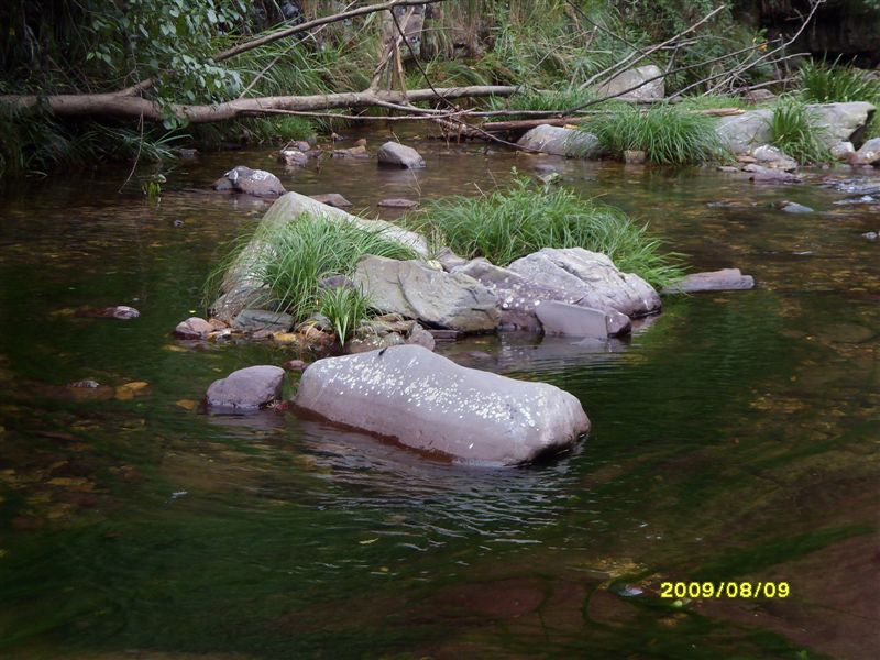 SDC11757.JPG