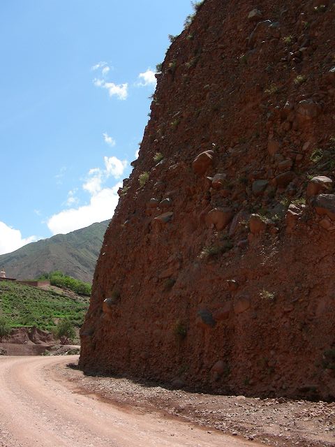 ��ת DSCN0698.JPG