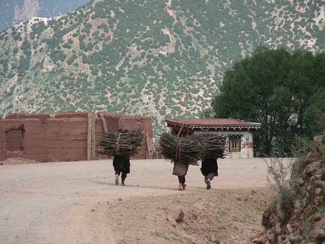 DSCN0692.JPG