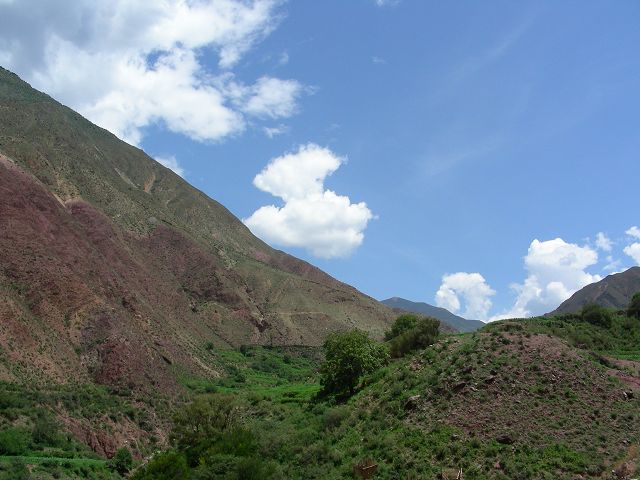 DSCN0695.JPG