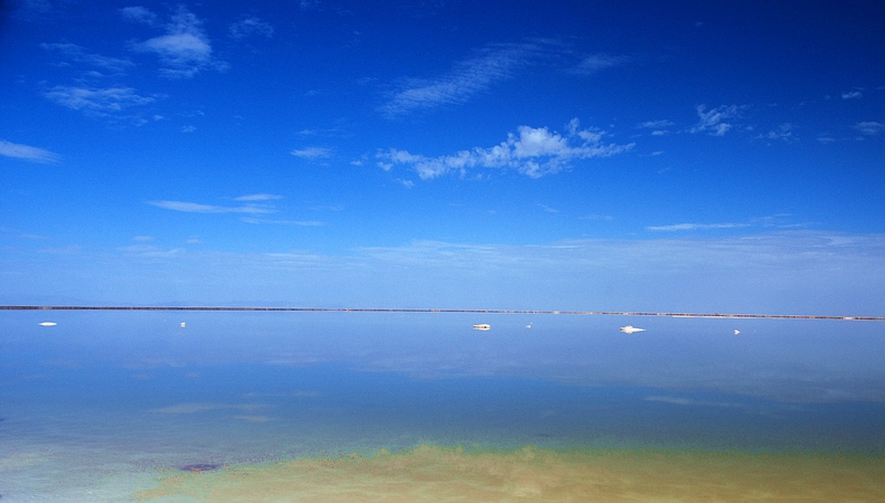 DSC_0053.jpg