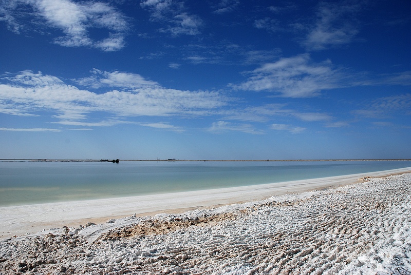DSC_0065.jpg