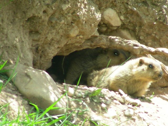 DSCN0842.JPG