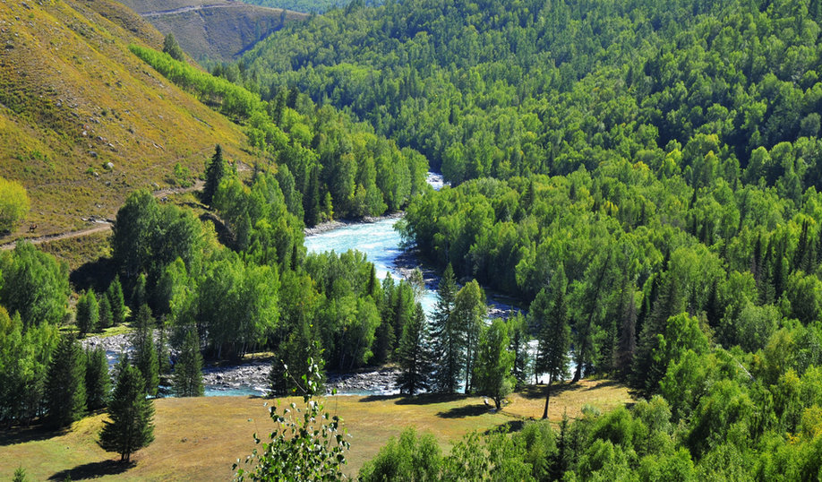 _DSC3510.jpg
